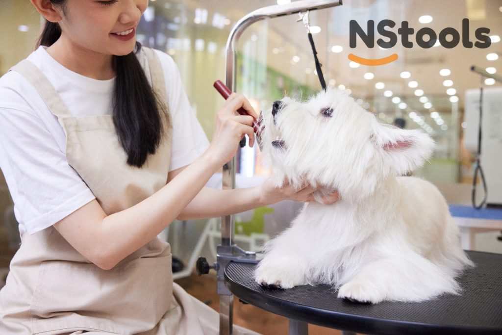 Dog grooming shears,NStools