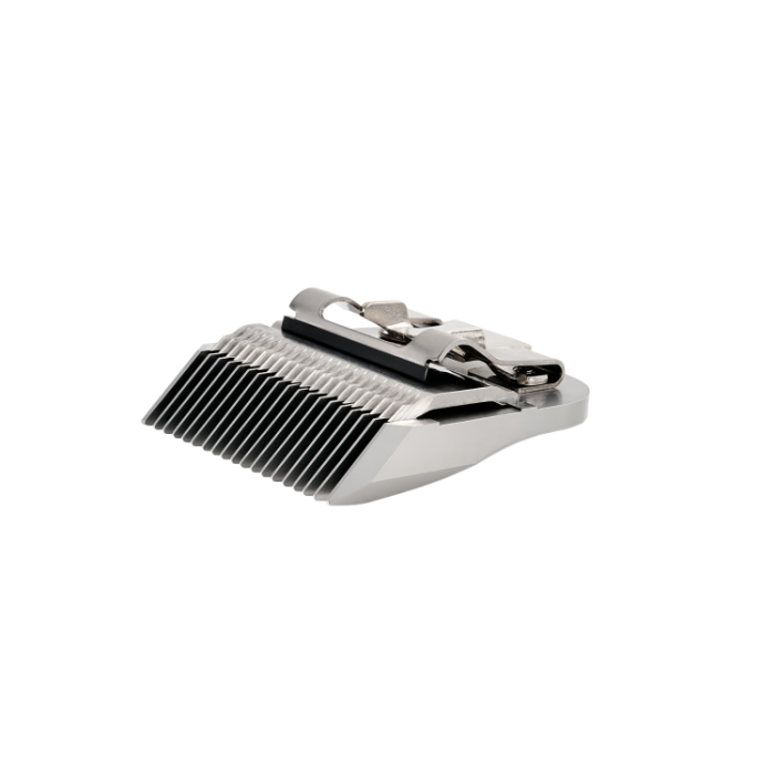 cleaning and oiling dog clipper blade size 3f