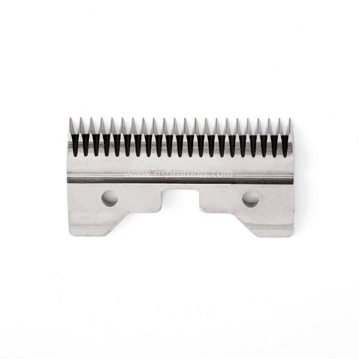 detailed grooming with 30# blade on paw pads